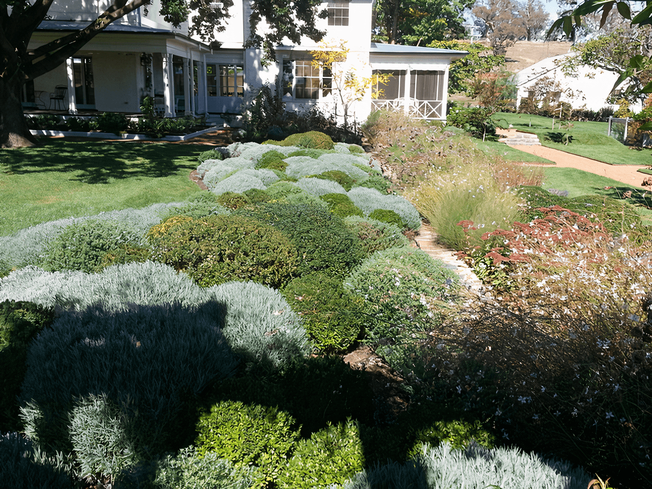 A lush garden with a variety of plants and trees