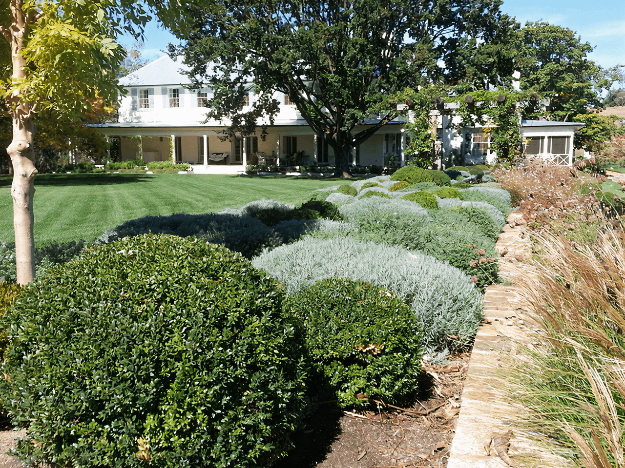 Perfectly trimmed and pruned shrubs in an outdoor garden